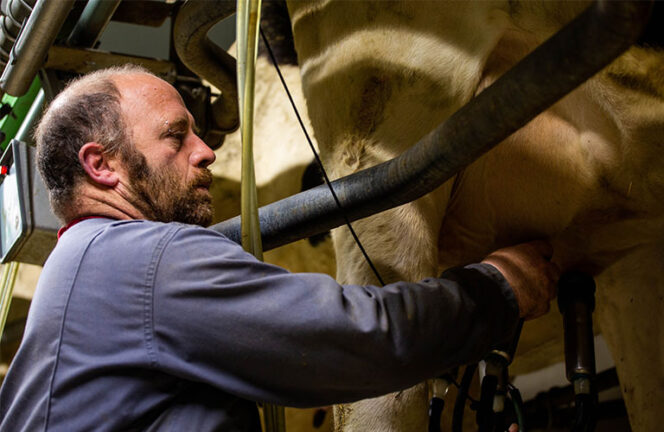 Alain Echeverria producteur laitier pour Onetik, l'un des producteurs de la carte printemps-été 2022