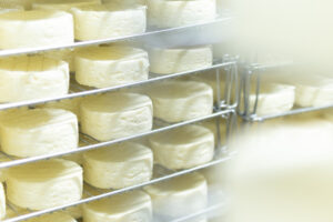 Fromagerie de Carel séjour Basilic & Co Normandie
